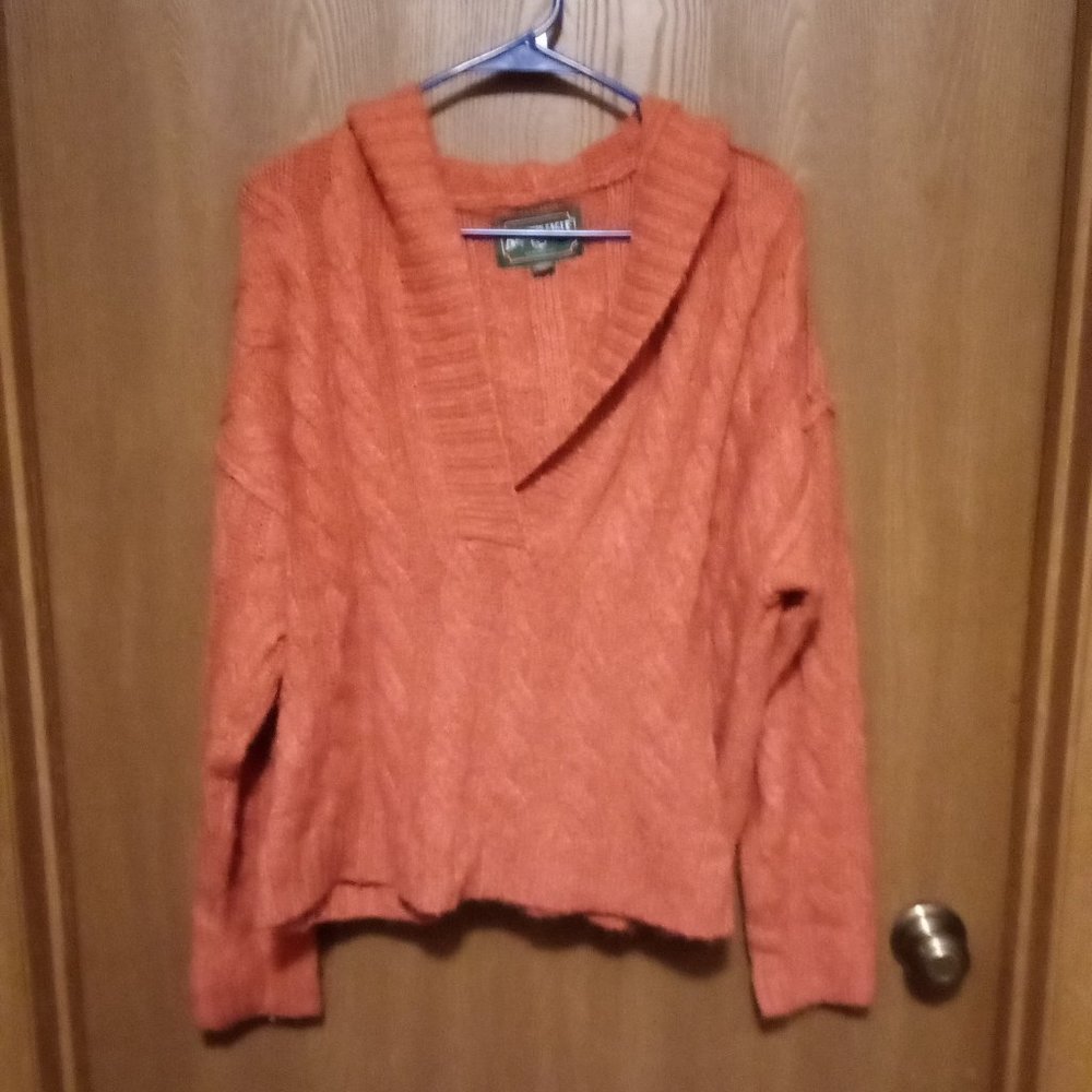 American Eagle Orange Hooded Sweater Crop Oversized